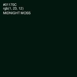 #01170C - Midnight Moss Color Image